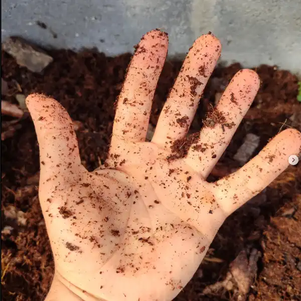 mãos na terra abelha7trevos